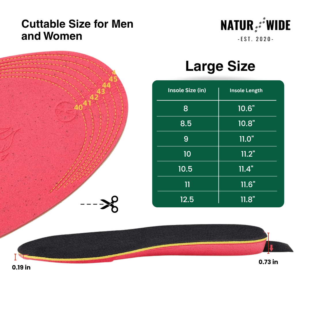 App-Controlled Smart Rechargeable Heated Insoles