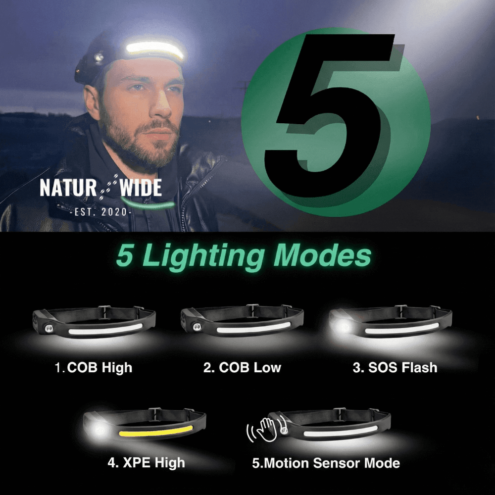 Up to 350 lumens, 5 light modes